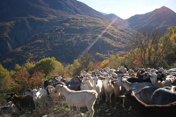 La porta dei parchi, sýry, abruzzo