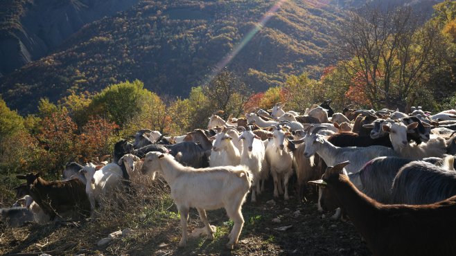 La porta dei parchi, sýry, abruzzo