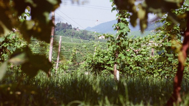 Borgo Molino, prosecco, valdobbiadene, vína, veneto