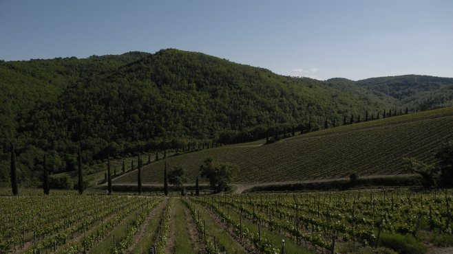 Brancaia, chianti, maremma, vína, ilatraia, il blu, toscana