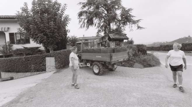 Cigliuti, Barbaresco, vína, piemonte