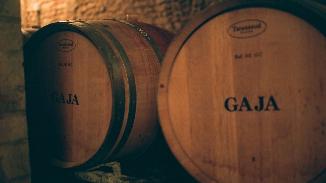 Gaja, vína, Piemonte, barbaresco