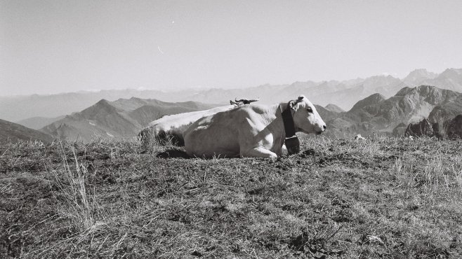 Jotaz, fontina, sýry, valle d´aosta