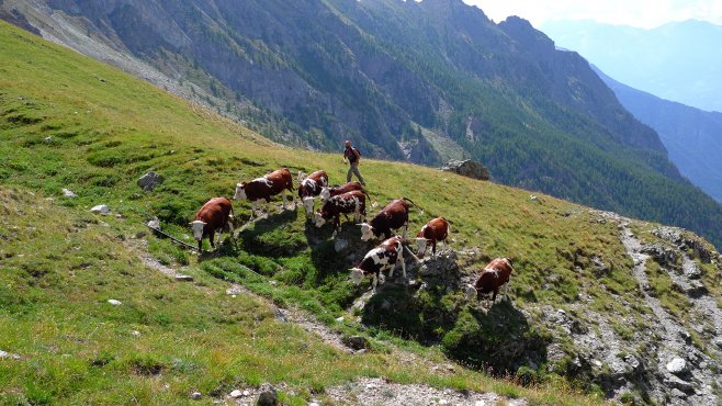 fontina, jotaz, ollomont, valle d'aosta