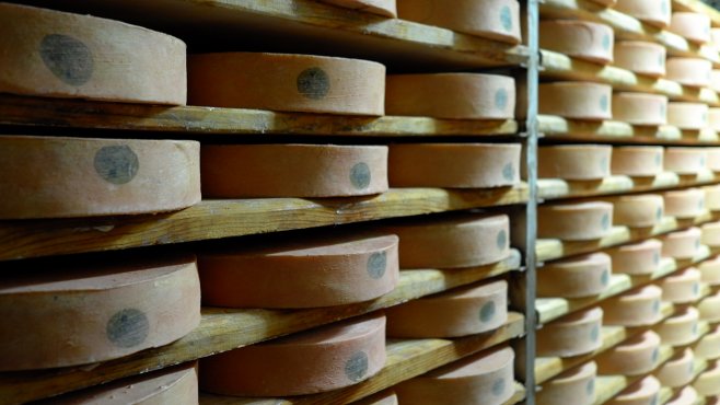 fontina cheese, jotaz, valle d'aosta