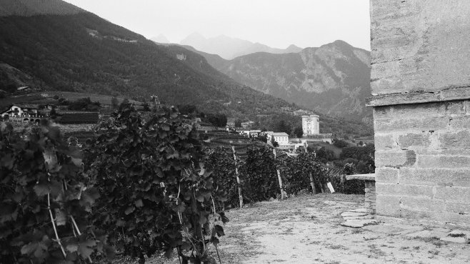 les cretes, wines, valle d´aosta