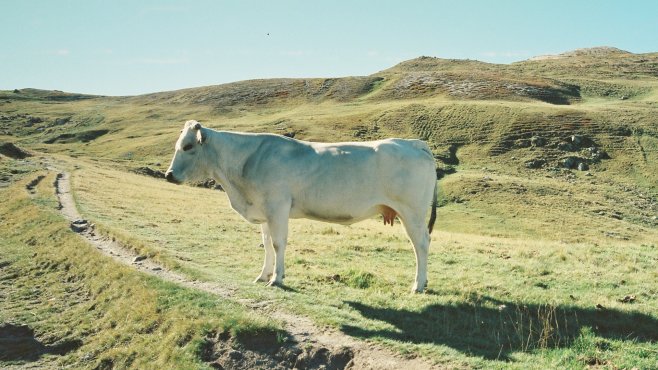 la meja, valle maira, piemonte