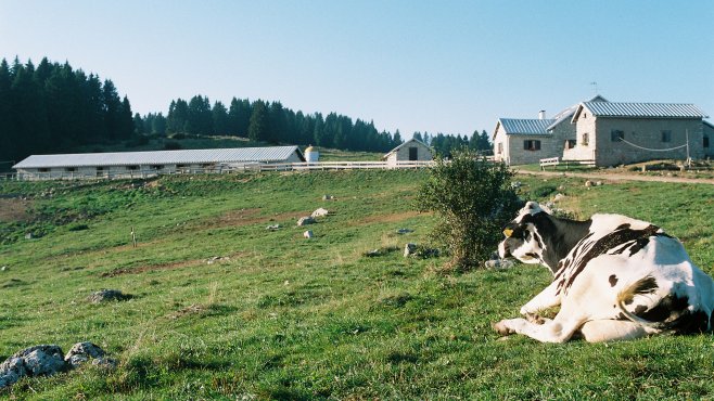 alpeggio, lavarone, millegrobbe, trentino