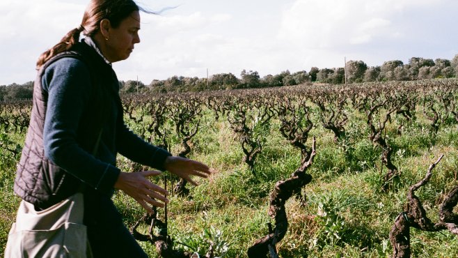 Morella, Primitivo, wines, Puglia