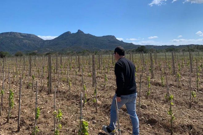 pusole, cannonau, sardinia