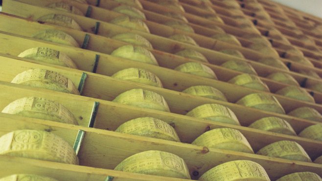 Italian cheeses, aging room, asiago, vezzena, trentino alto adige