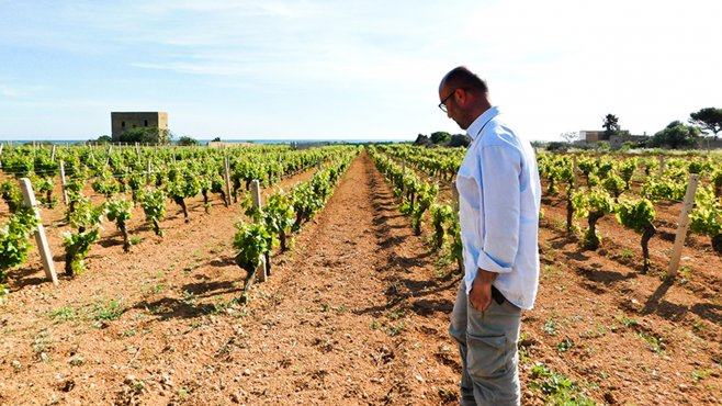 barraco, natural wines, sicily